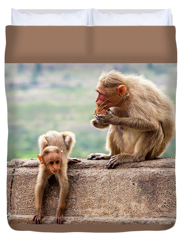 Animal Duvet Cover featuring the photograph Bonnet macaques - mother and child #1 by SAURAVphoto Online Store