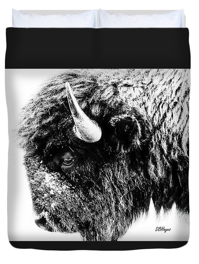 Buffalos Duvet Cover featuring the photograph Buffalo Black and White Portrait II by DB Hayes
