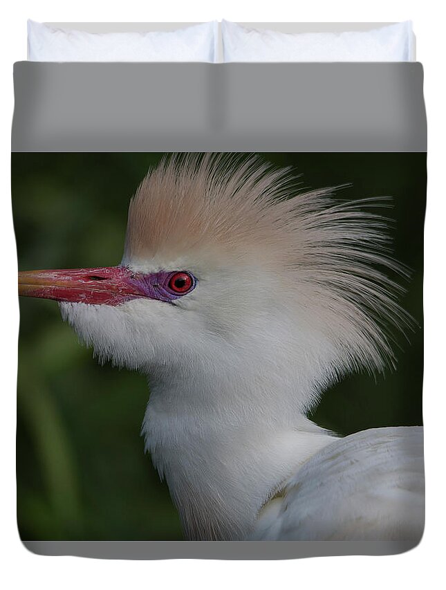 Cattle Duvet Cover featuring the photograph Cattle Egret by Carolyn Hutchins