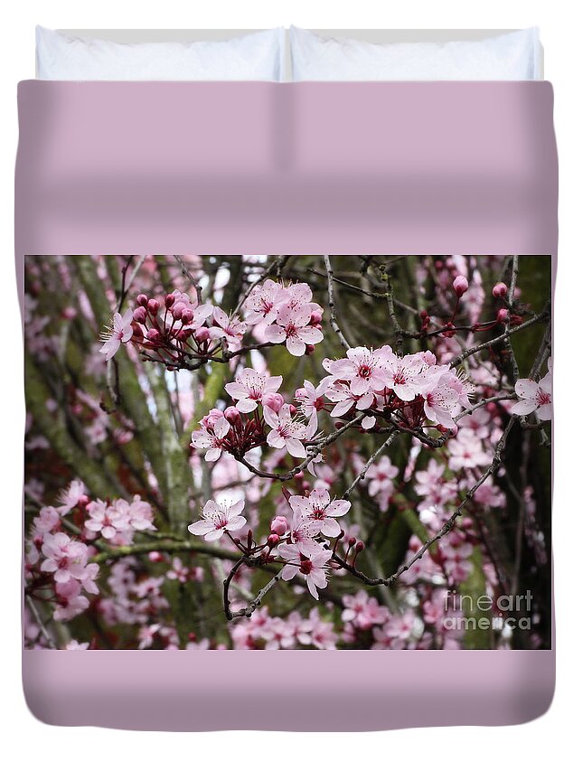 Cherry Blossoms Duvet Cover featuring the photograph Cherry Blossoms #1 by Scott Cameron