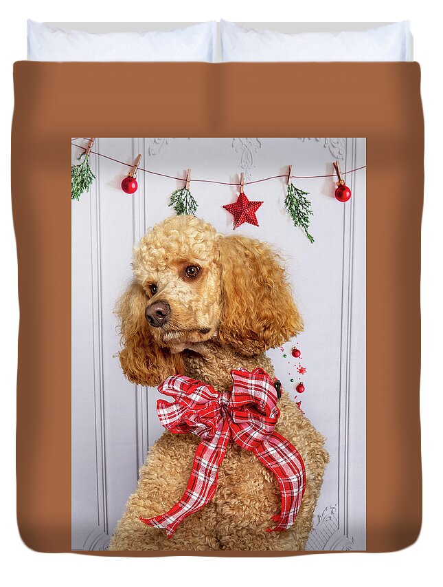 Standard Poodle Duvet Cover featuring the photograph Chester 5 #2 by Rebecca Cozart
