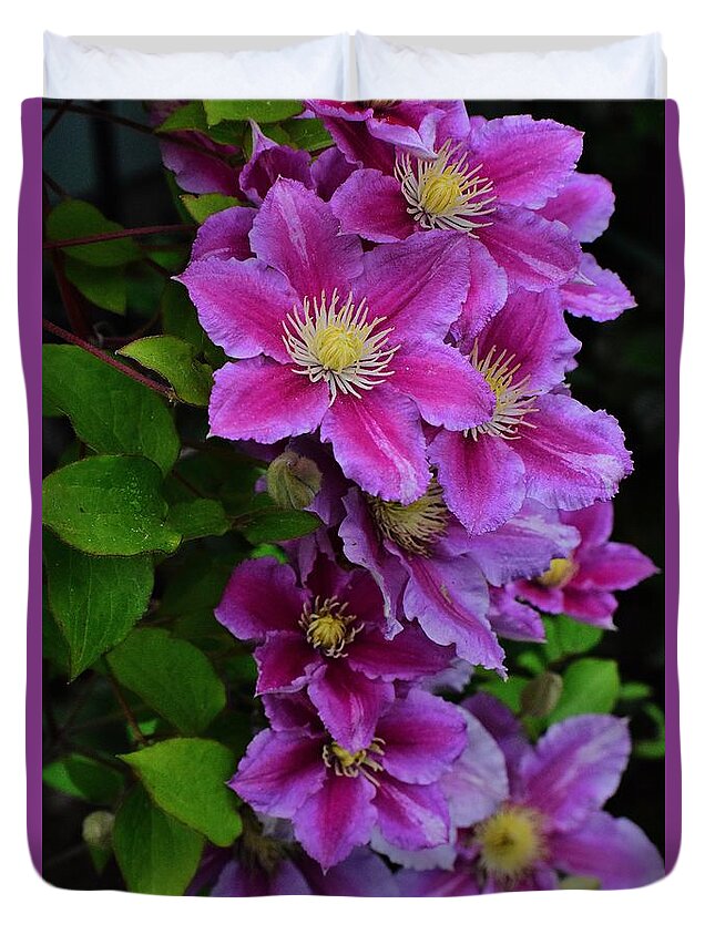 Clematis Duvet Cover featuring the photograph Clematis #1 by Jimmy Chuck Smith