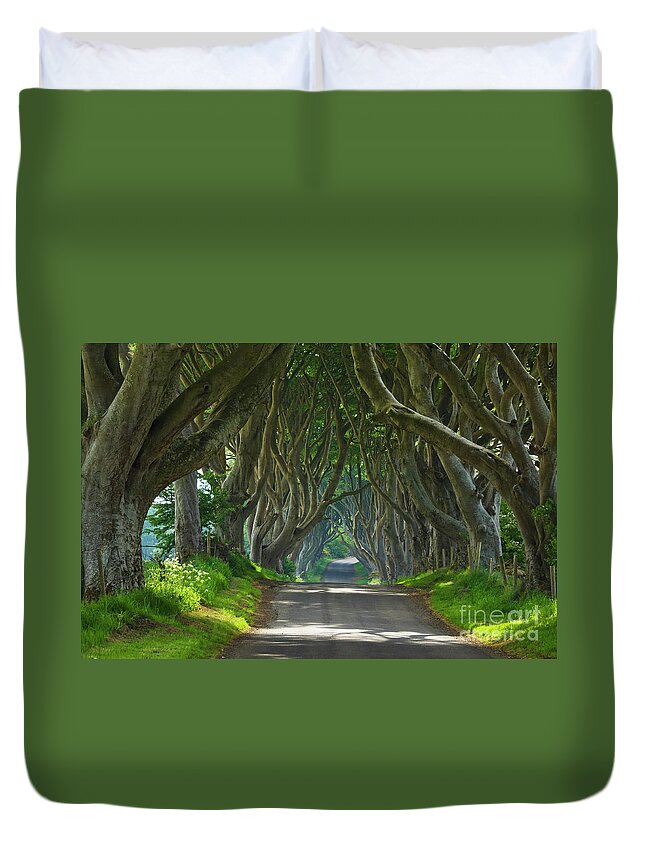 Dark Hedges Duvet Cover featuring the photograph Dark Hedges, County Antrim, Northern Ireland by Neale And Judith Clark