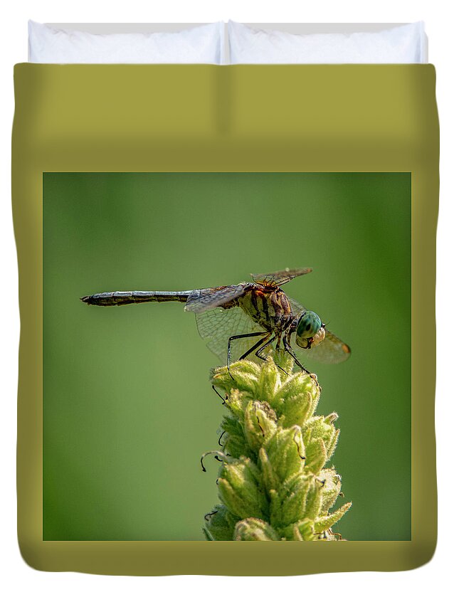Insect Duvet Cover featuring the photograph Dragon Fly by Cathy Kovarik