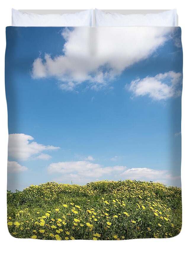 Flowers Duvet Cover featuring the photograph Field with yellow marguerite daisy blooming flowers against and blue cloudy sky. Spring landscape nature background by Michalakis Ppalis