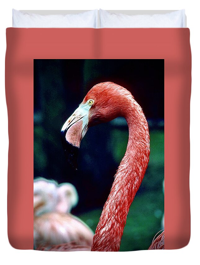  Duvet Cover featuring the photograph Flamingo #1 by Gordon James