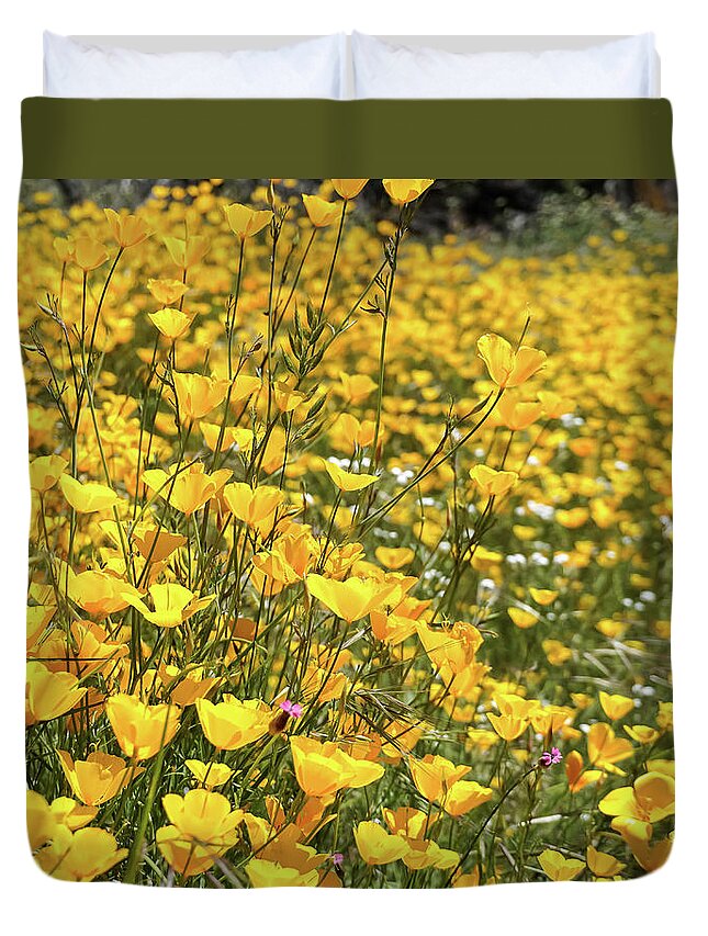 Poppies Duvet Cover featuring the photograph Foothill Poppies #1 by Brett Harvey