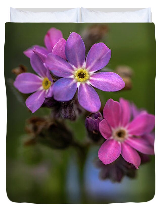  Flower Duvet Cover featuring the photograph Forget-me-not #1 by Jaroslaw Blaminsky