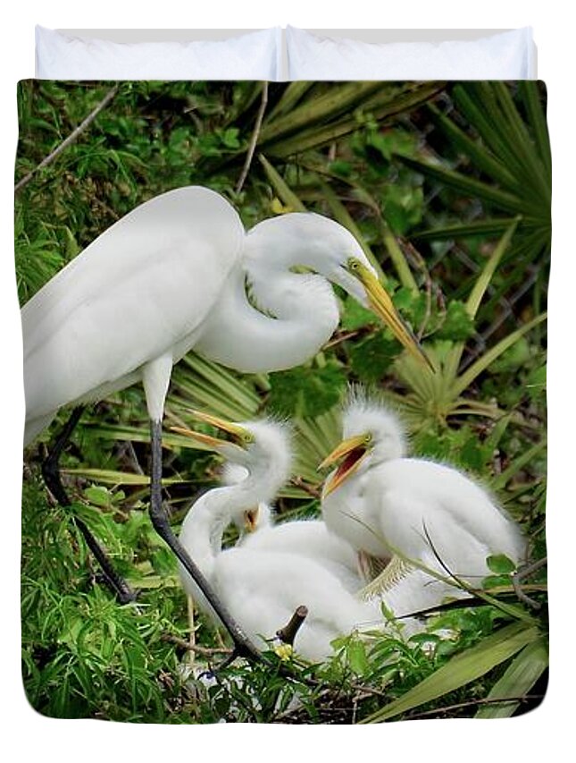 Great Egret Duvet Cover featuring the photograph Full House #1 by Carol Bradley