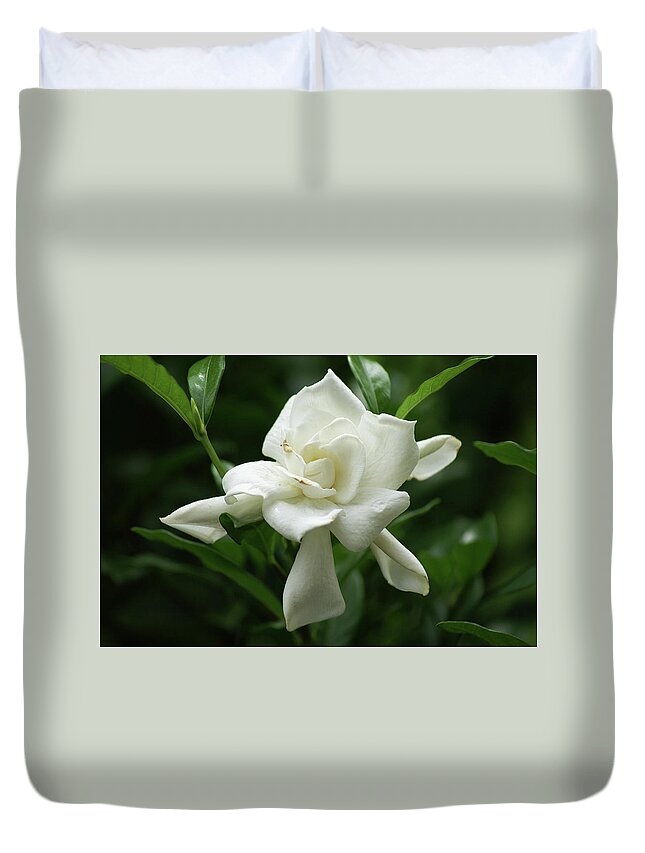  Duvet Cover featuring the photograph Gardenia by Heather E Harman