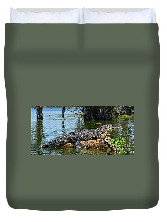 Nature Duvet Cover featuring the photograph Gator at rest #1 by Barry Bohn