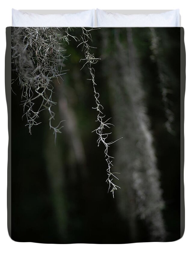 Moss Duvet Cover featuring the photograph Georgia Tree Moss #1 by Dennis Dame