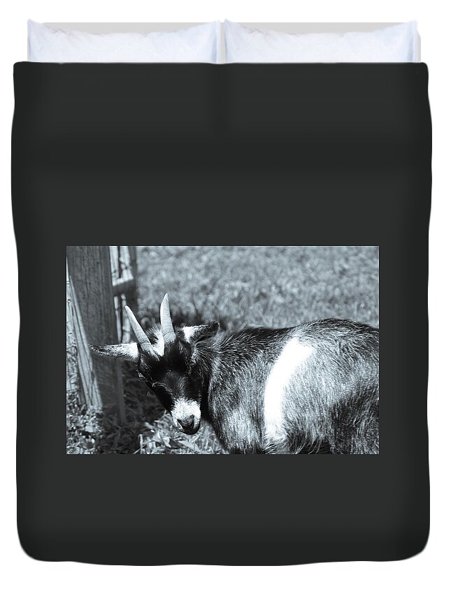 Goat Duvet Cover featuring the photograph Goat With An Attitude #1 by Demetrai Johnson