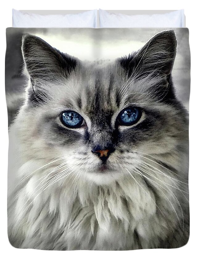 Nature Duvet Cover featuring the photograph Heaven's Meow #1 by Darlene Kwiatkowski