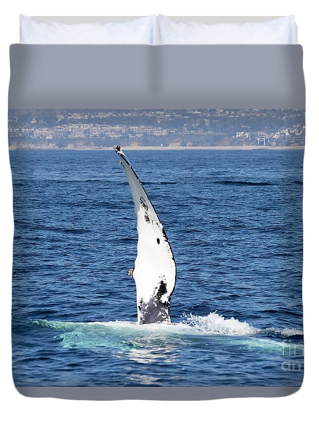 Humpback Whale Duvet Cover featuring the photograph Humpback Whale Pectoral Fin #1 by Loriannah Hespe