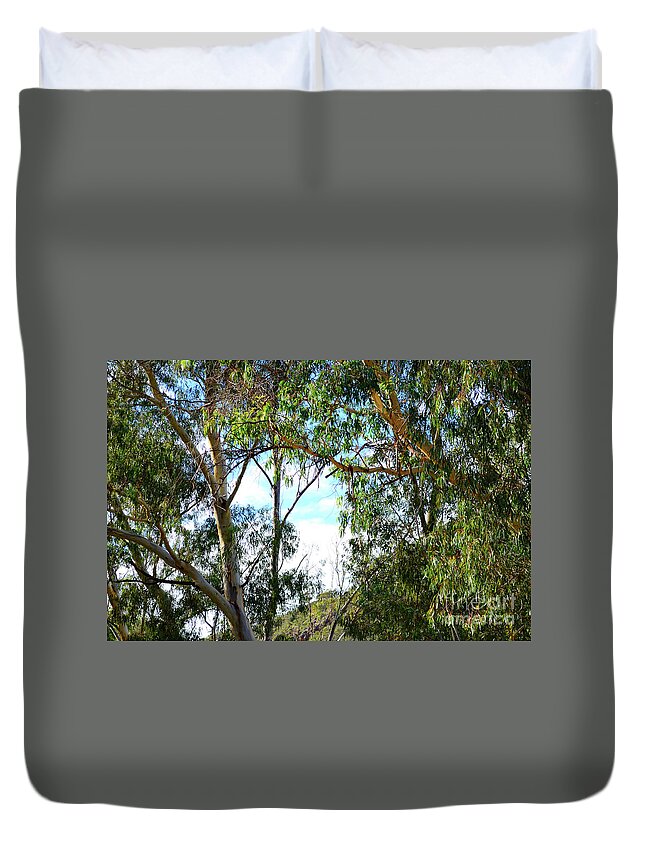 Australia Duvet Cover featuring the photograph Iconic Australian bushland scene with tall eucalyptus trees and shrubs. #1 by Milleflore Images