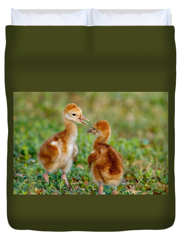 Sandhill Crane Duvet Cover featuring the photograph I'm the boss #1 by Judy Rogero