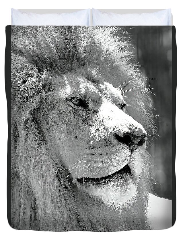 Lion Duvet Cover featuring the photograph Is This My Good Side by Lens Art Photography By Larry Trager
