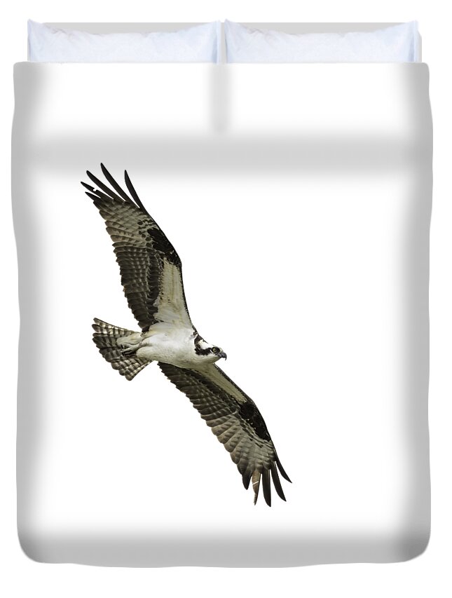 Osprey Duvet Cover featuring the photograph Isolated Osprey 2021-1 by Thomas Young