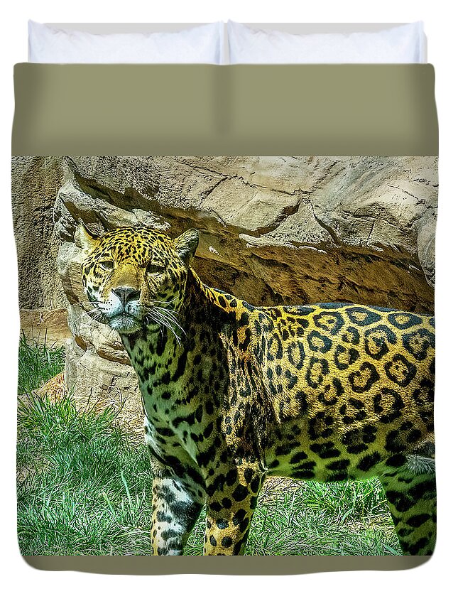 Sedona Duvet Cover featuring the photograph Jaguar #2 by Al Judge
