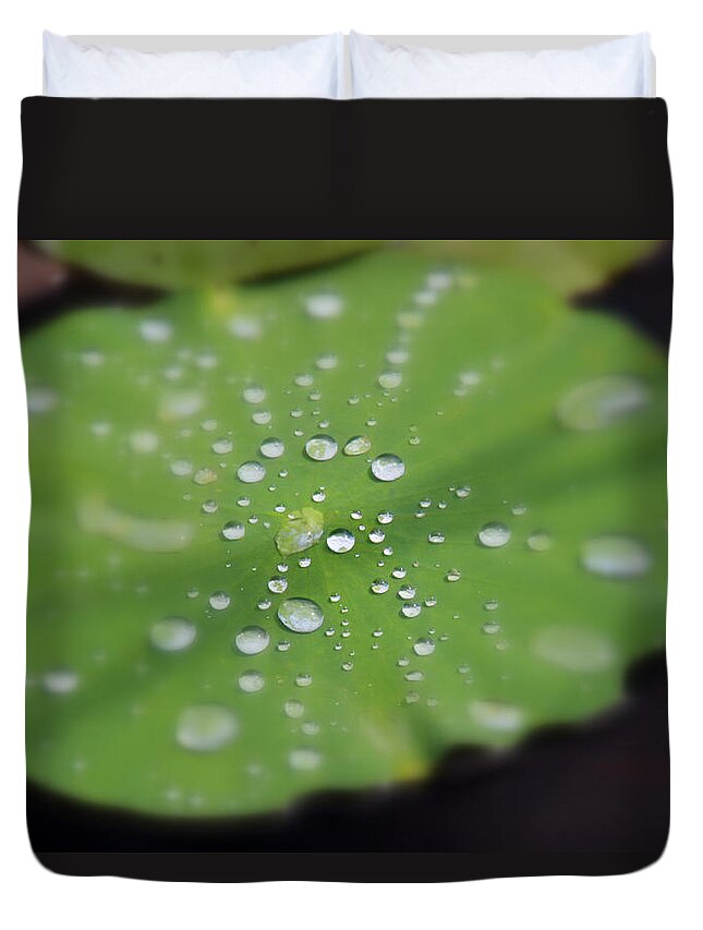 Green Water Duvet Cover featuring the photograph Lilypad #1 by Carolyn Stagger Cokley