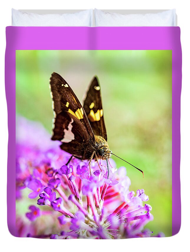 Plants Duvet Cover featuring the photograph Macro Photography - Butterfly #1 by Amelia Pearn