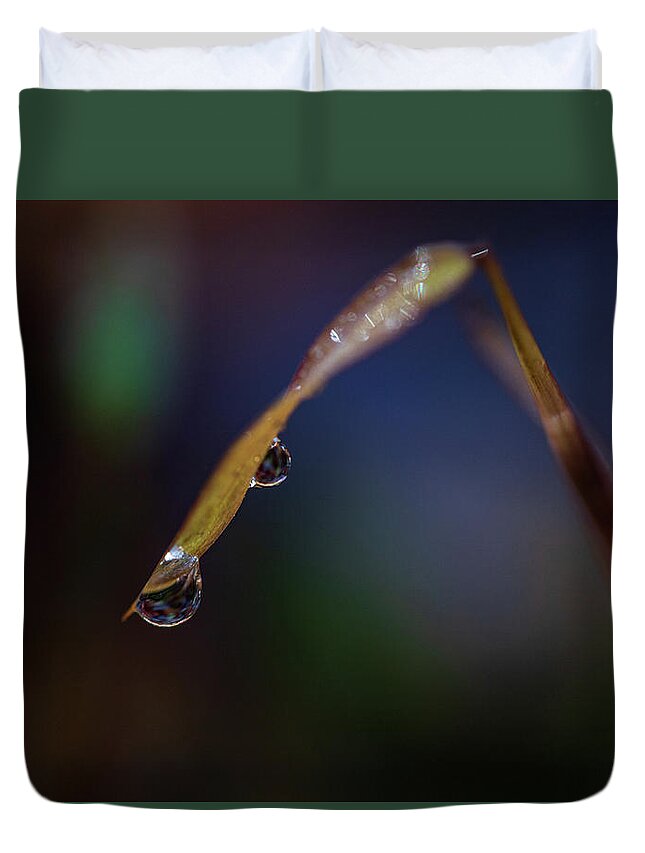 Fall Duvet Cover featuring the photograph Macro Photography - Water Drops on Grass by Amelia Pearn