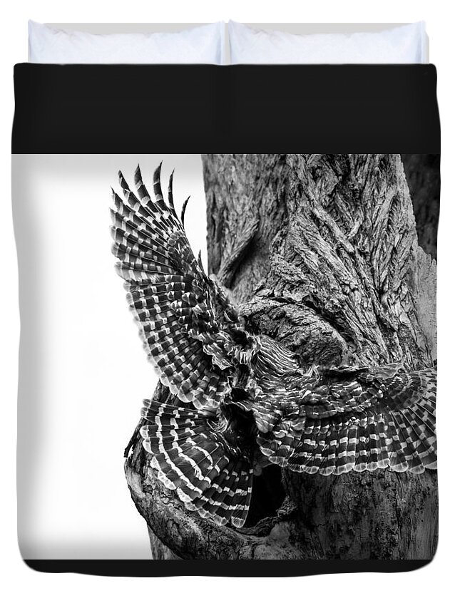 Mama Barred Owl Duvet Cover featuring the photograph Mama Barred owl rushing in to feed its babies by Puttaswamy Ravishankar