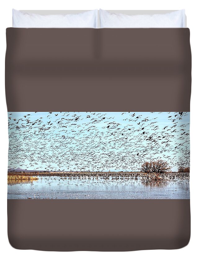 Wildlife Duvet Cover featuring the photograph Morning Flight by Robert Harris