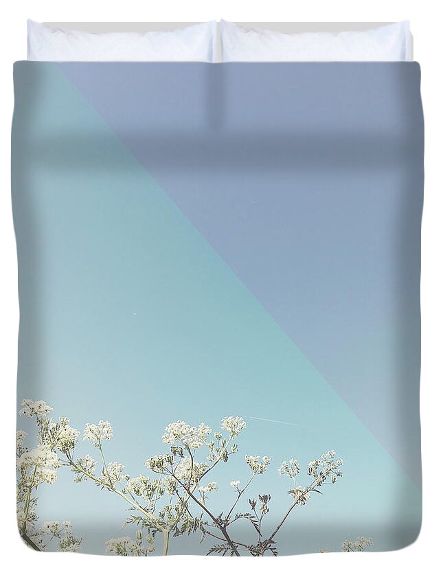 Flowers Duvet Cover featuring the photograph Morning Glory #1 by Cassia Beck