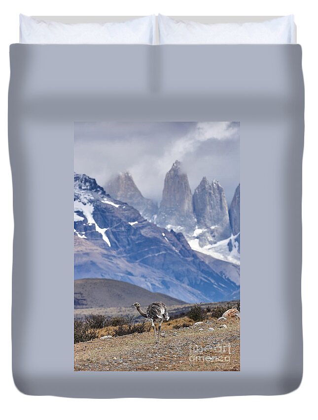 Ostrich Duvet Cover featuring the photograph Nandu by Matteo Del Grosso