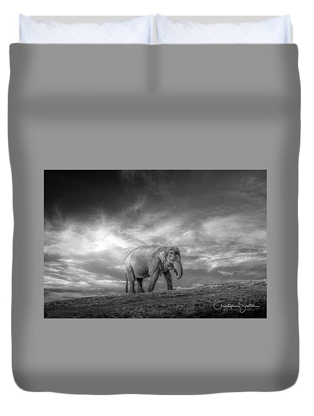 Elephant Duvet Cover featuring the photograph Never Forget #1 by Chris Boulton