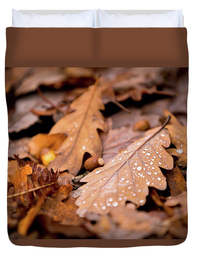 Fall Duvet Cover featuring the photograph Oak Leaves and rain drops by Anita Nicholson