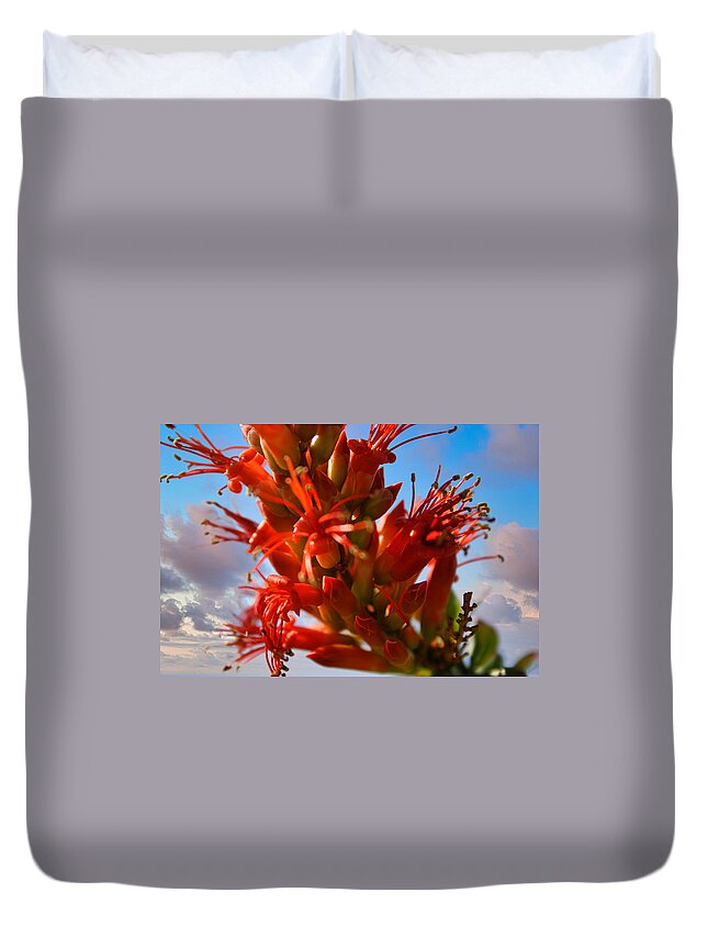 Ocotillo Bloom Duvet Cover featuring the photograph Ocotillo Bloom by Gene Taylor