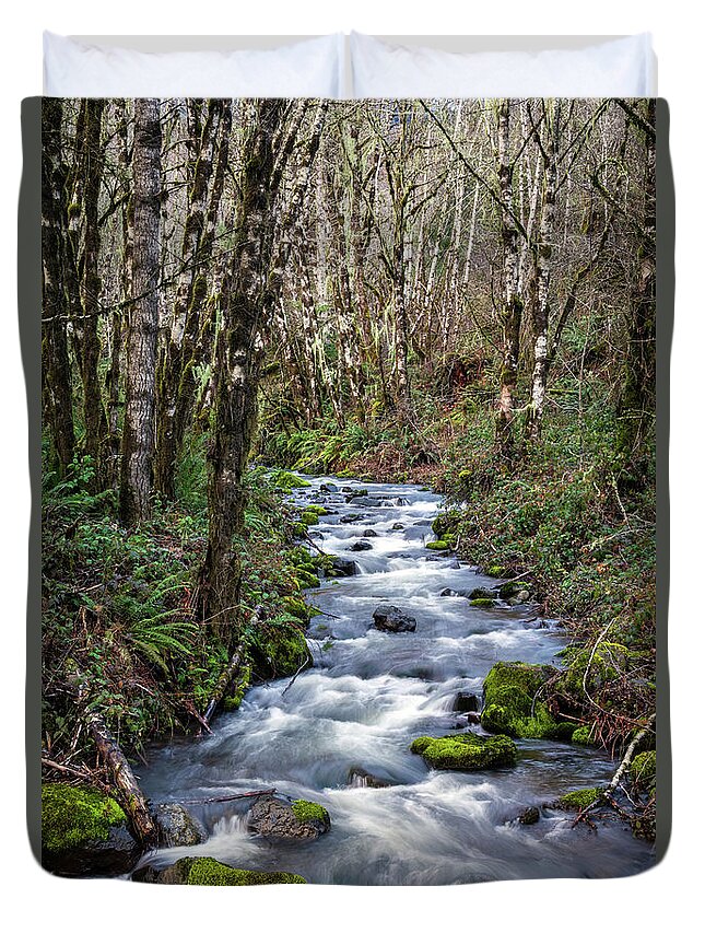 Oregon Mountain Stream Duvet Cover featuring the photograph Oregon Mountain Stream and Alder Trees #1 by Catherine Avilez