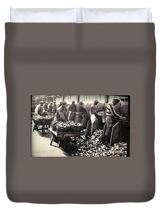 Oyster Duvet Cover featuring the photograph Oyster Shuckers by Catherine Wilson