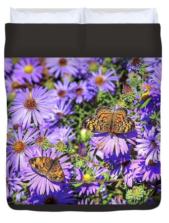Phyciodes Duvet Cover featuring the photograph Pearl Crescent II by Robert Harris