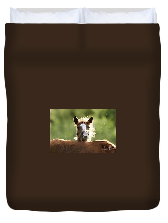 Salt River Wild Horses Duvet Cover featuring the photograph Peek-A-Boo #1 by Shannon Hastings