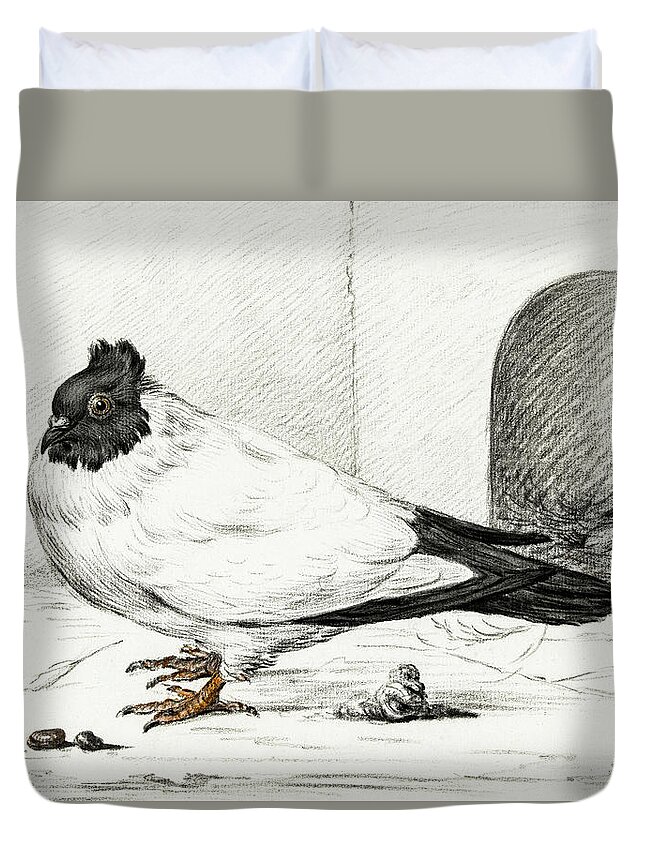 Animal Duvet Cover featuring the painting Pigeon and a nest with an egg #1 by MotionAge Designs