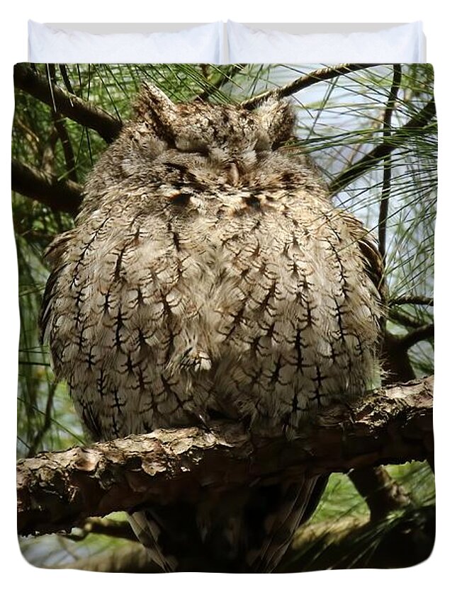Eastern Screech Owl Duvet Cover featuring the photograph Proud Mom #1 by Heather King