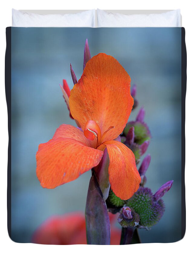 Plants Duvet Cover featuring the photograph Red Canna Lily #2 by Frank Mari