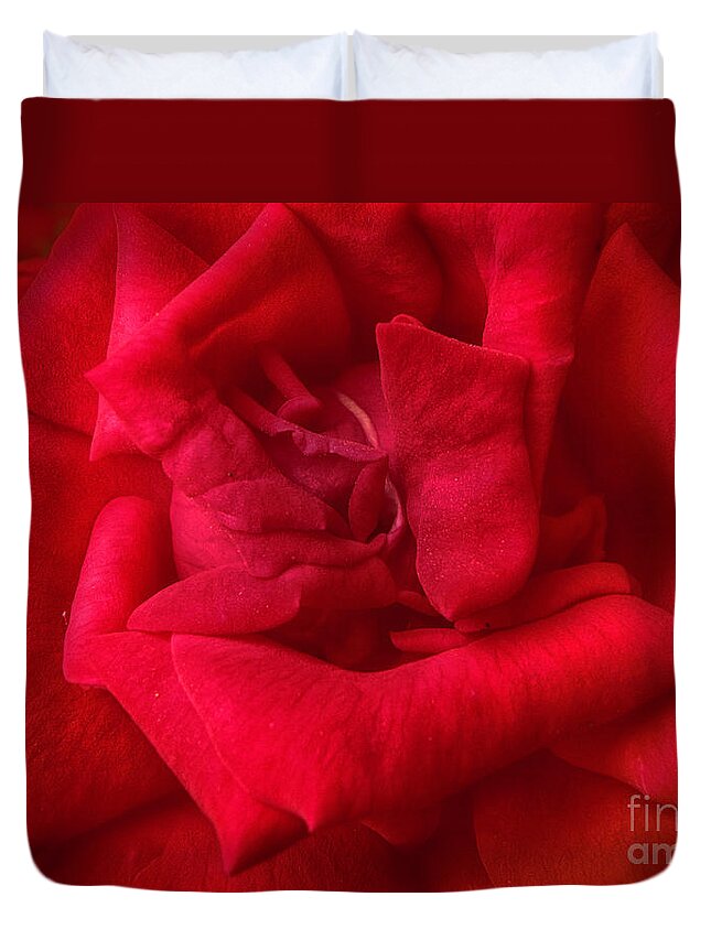 Red Duvet Cover featuring the photograph Red Red Rose #1 by Judy Hall-Folde