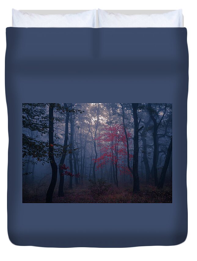 Balkan Mountains Duvet Cover featuring the photograph Red Tree by Evgeni Dinev