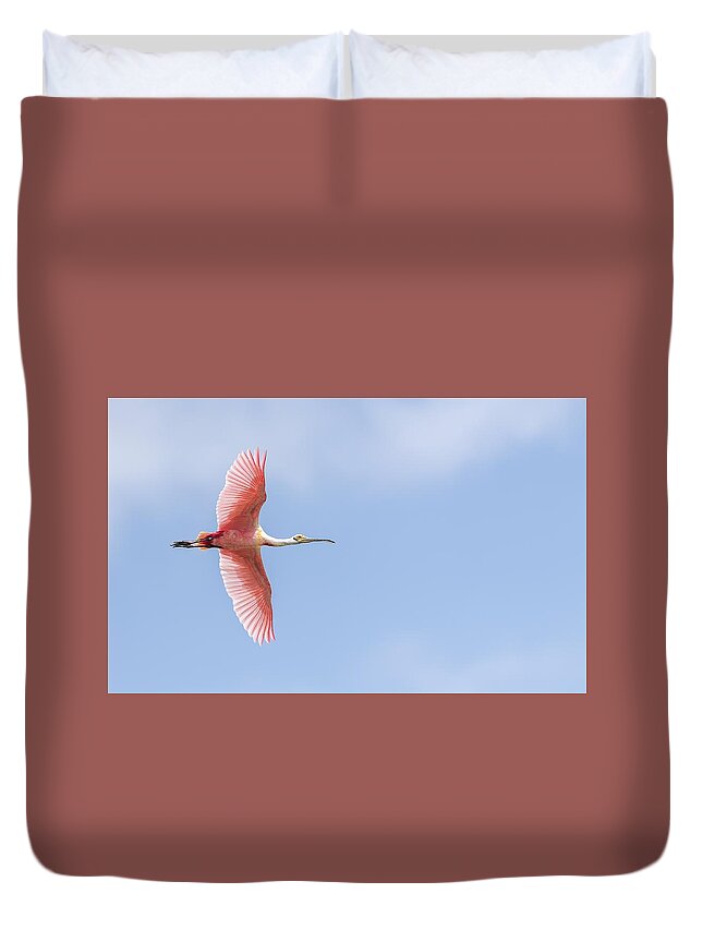 Roseate Spoonbill Duvet Cover featuring the photograph Sky is the Limit by Puttaswamy Ravishankar