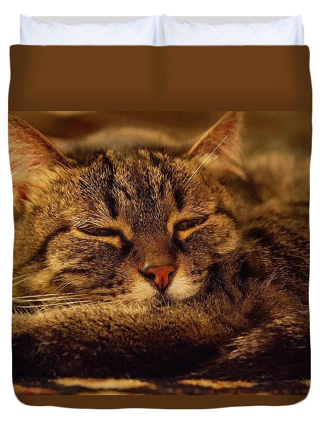 Adorable Duvet Cover featuring the photograph Sleeping cat #2 by Umberto Barone