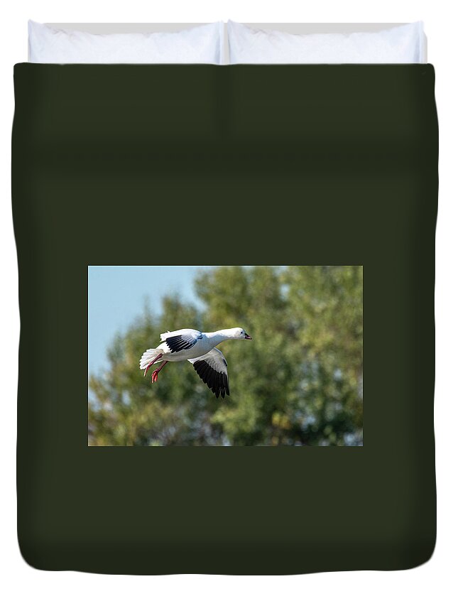 Goose Duvet Cover featuring the photograph Snow Goose by Jerry Cahill
