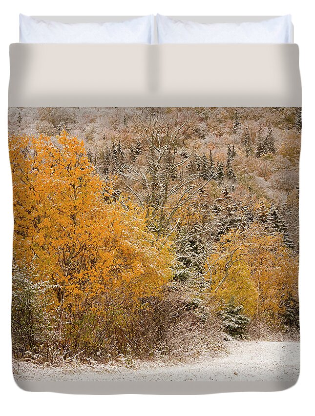 Autumn Duvet Cover featuring the photograph Snowy Fall Maples #1 by Irwin Barrett