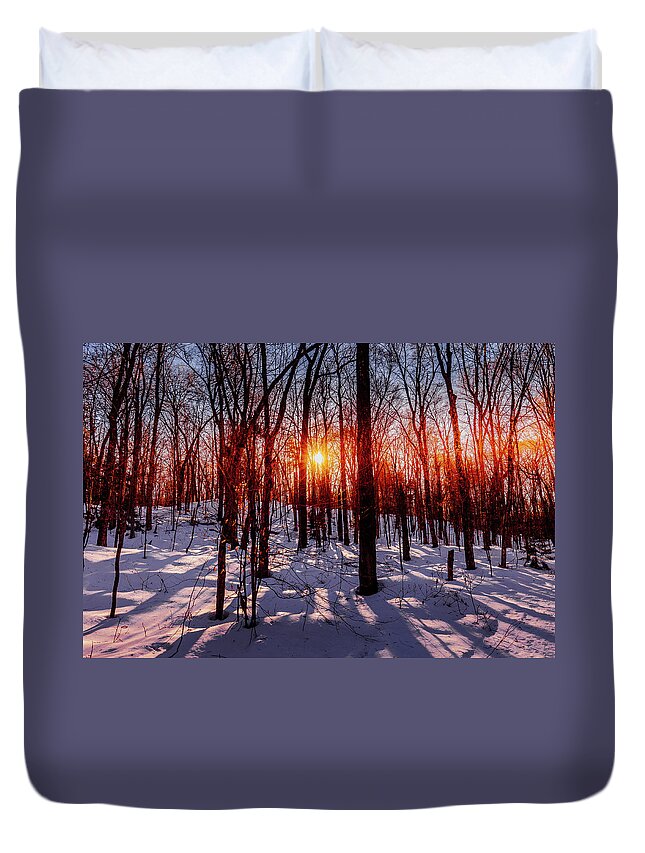 Snowy Sunset Duvet Cover featuring the photograph Snowy Sunset #1 by David Patterson