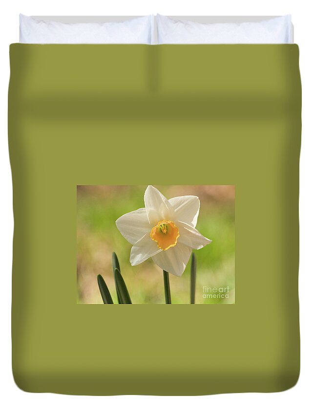 Color Duvet Cover featuring the photograph Springtime Daffodil 2 #1 by Dorothy Lee