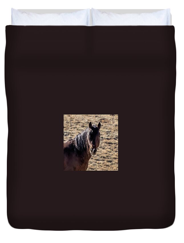 Horse Duvet Cover featuring the photograph Stallion #1 by Laura Terriere